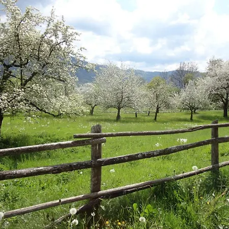 Appartamento Landhaus Arztmann Bodensdorf